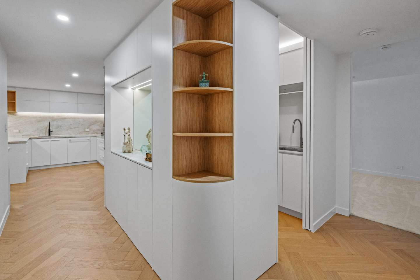 Luxury Unit Renovation - Entrance hallway and Storage